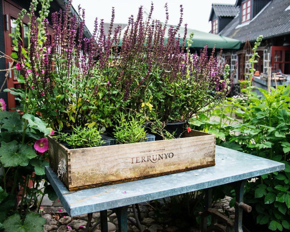 Grundfor Bed And Breakfast 외부 사진