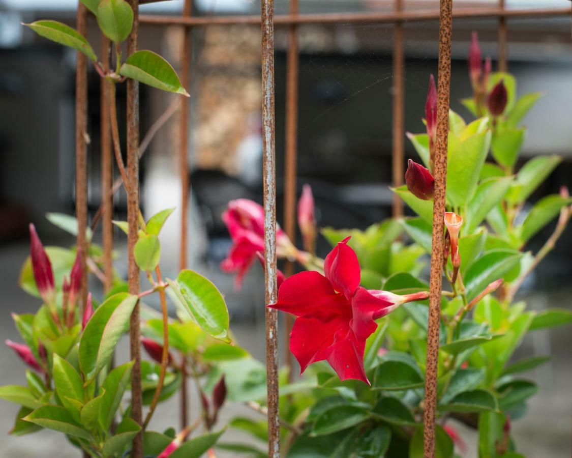 Grundfor Bed And Breakfast 외부 사진
